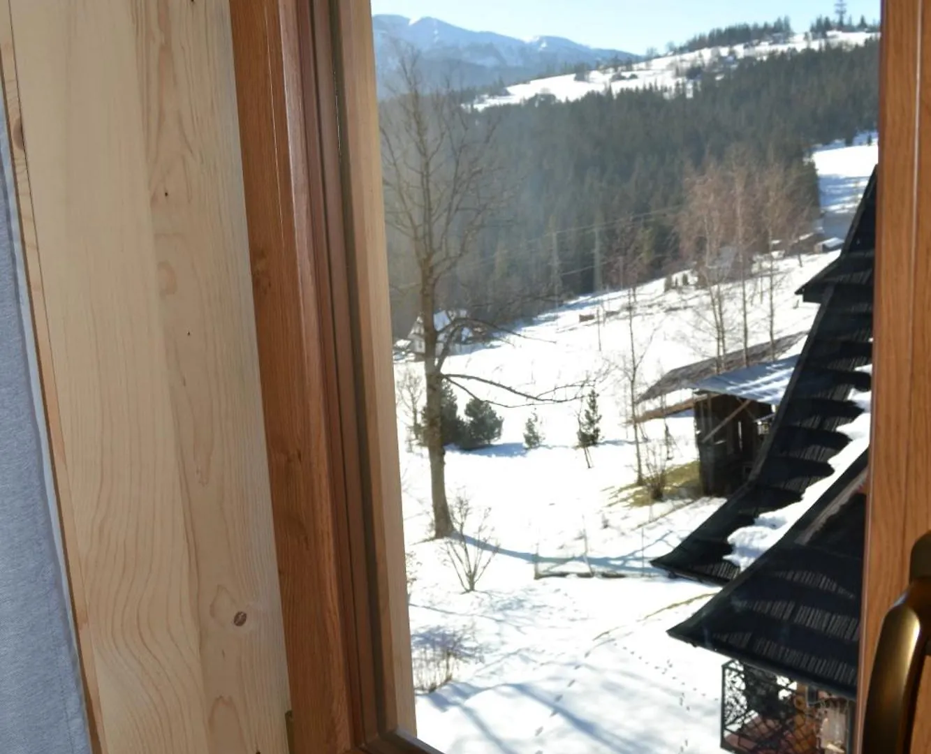 Apartamenty Widokowe Kowalski- Wooden View Apartmants Zakopane Lägenhet