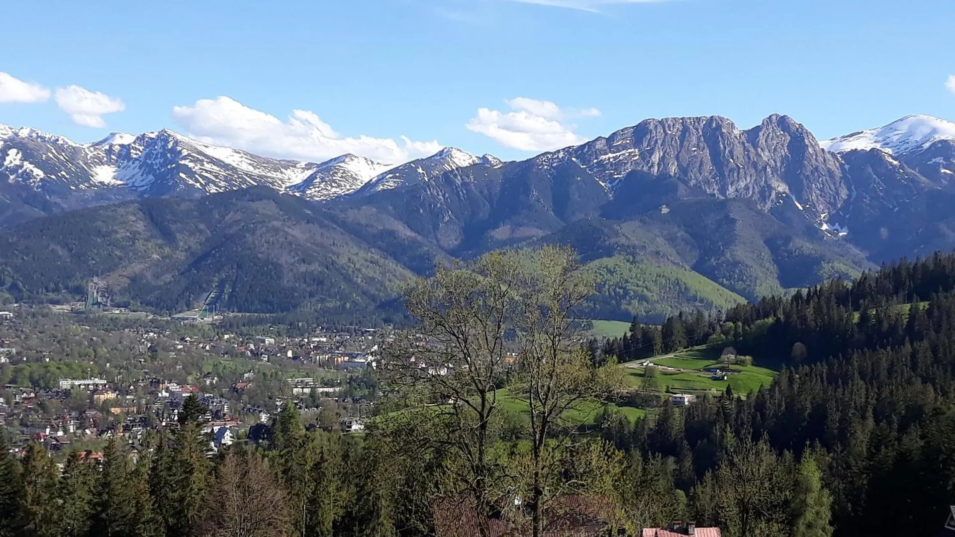 Apartamenty Widokowe Kowalski- Wooden View Apartmants Zakopane